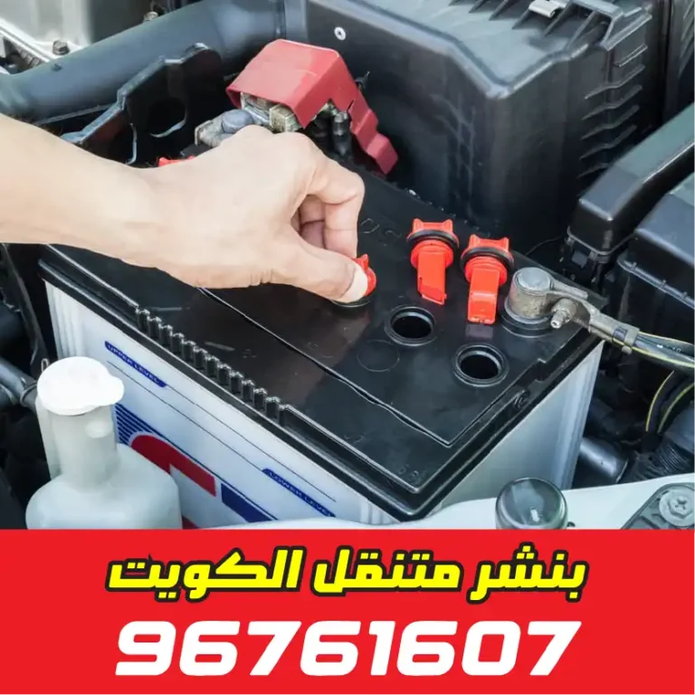 بنشر تبديل دينمو مبارك الكبير